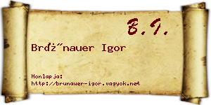 Brünauer Igor névjegykártya